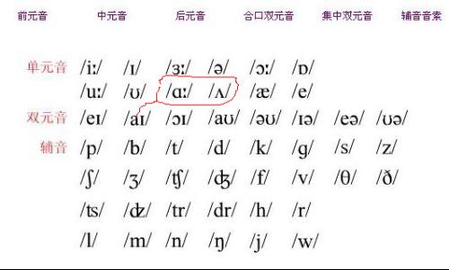 医院的音节是什么，揭秘语言中的医疗殿堂