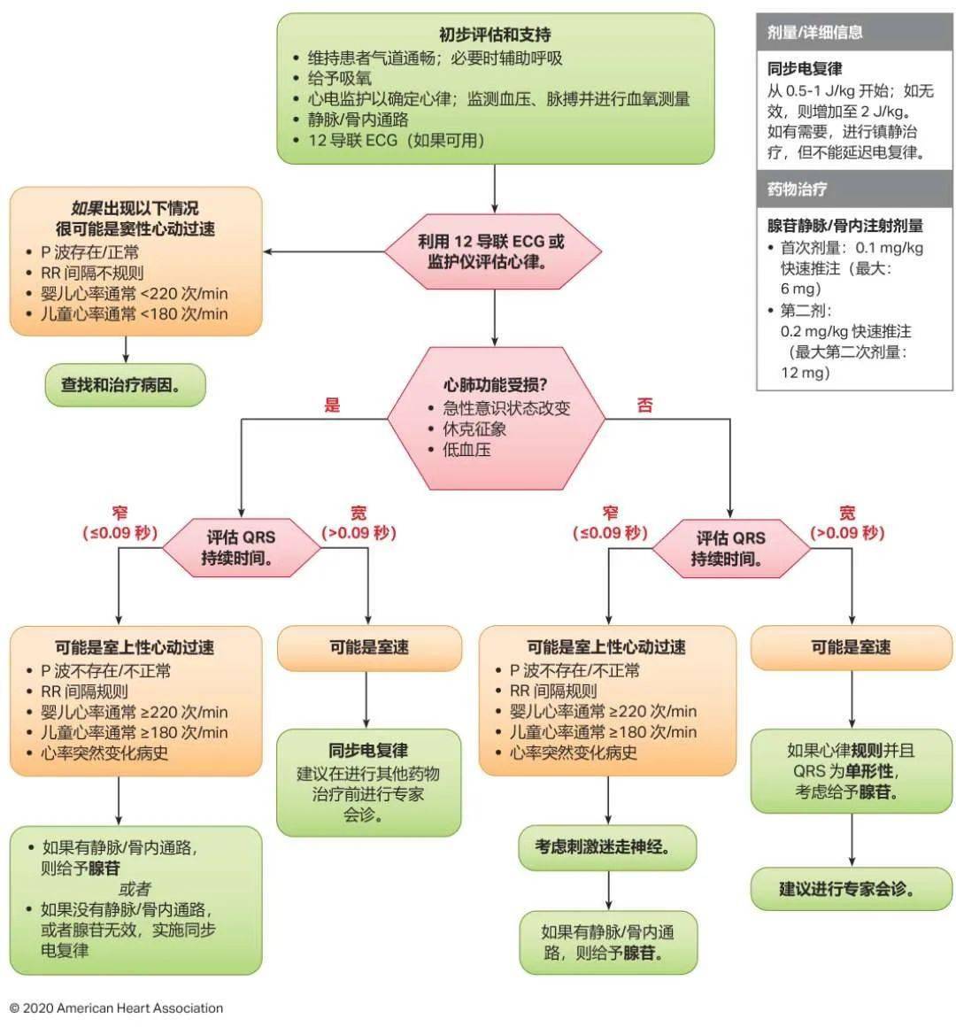 医院就诊全流程指南，从初识到康复的每一步