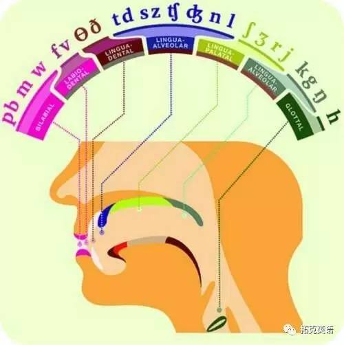 医院的正确读音，多维度解析与发音指南