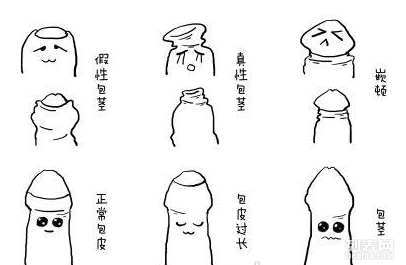 男科医院割包皮，了解、选择与恢复的全面指南