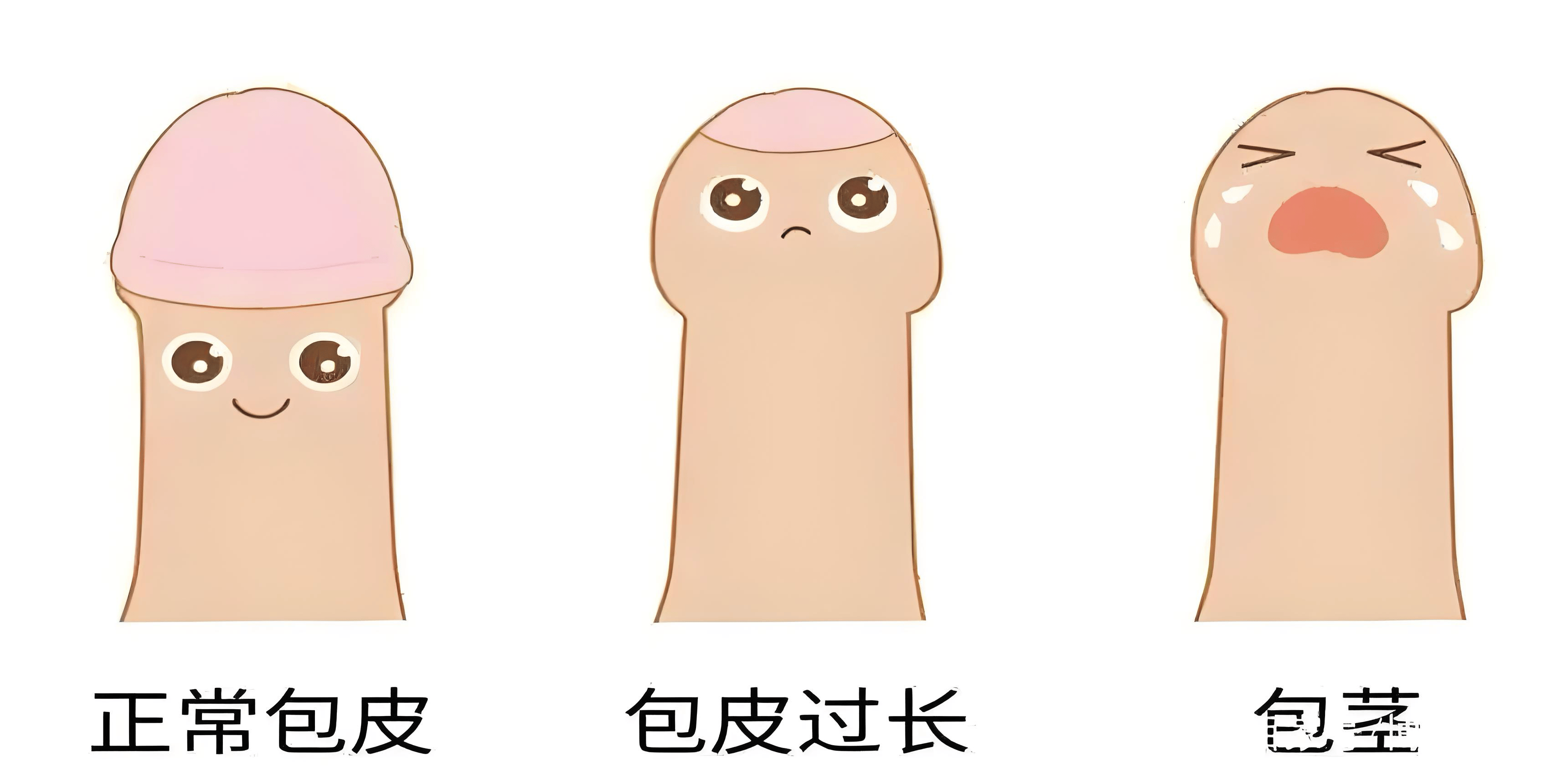 第1309页