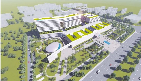 肇庆市第一人民医院WiFi密码，守护健康，连接未来