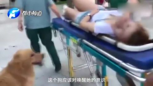 上海女子和狗狗粘在一起送到医院