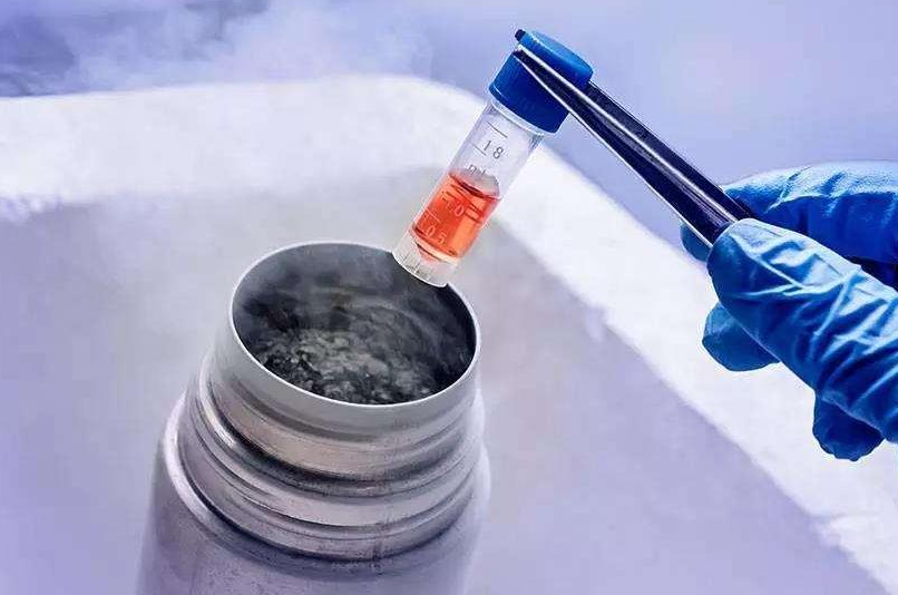 私立医院做试管哪家好