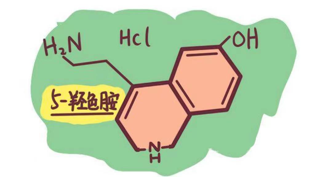 二丙医院与三甲医院，谁更胜一筹？
