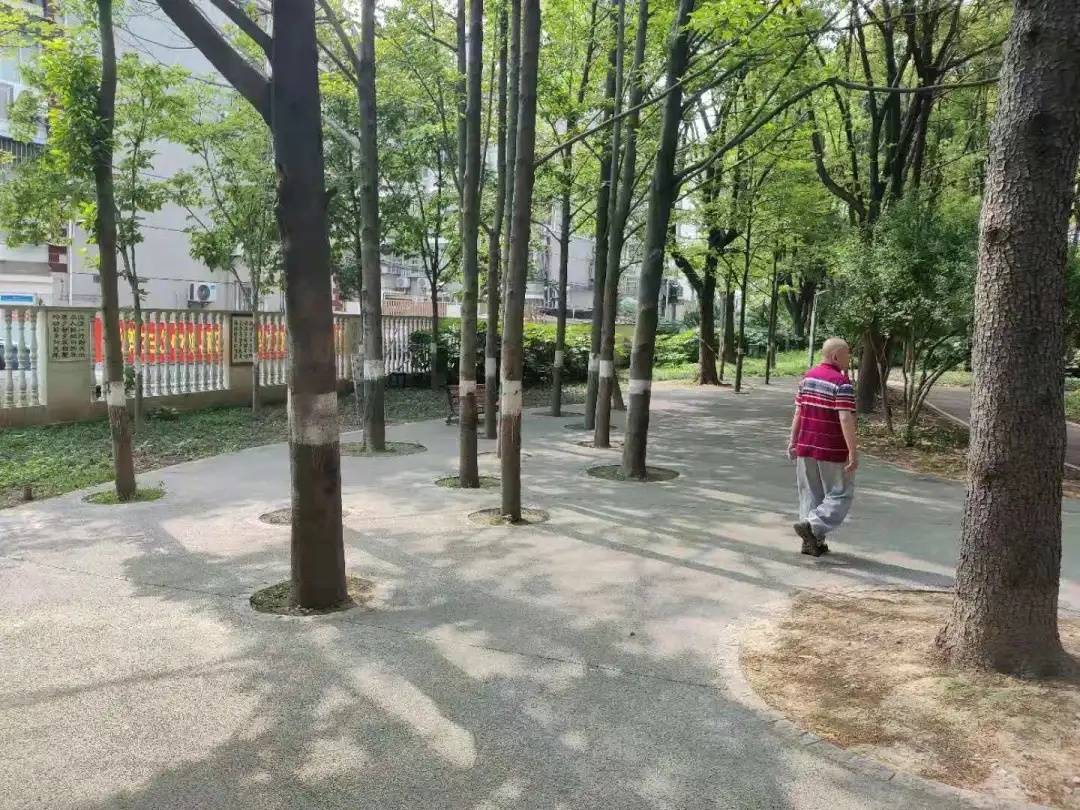 温州滨海医院电话，健康守护的桥梁