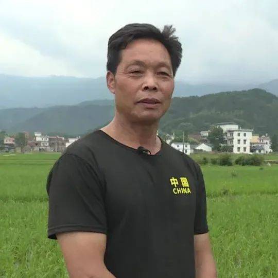 宁波第六医院，便捷就医的电话指南