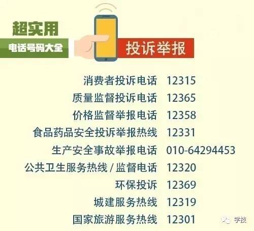 2025年1月29日 第29页