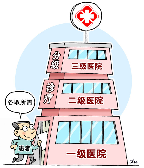 探索一级甲等公立医院的医疗品质与责任担当