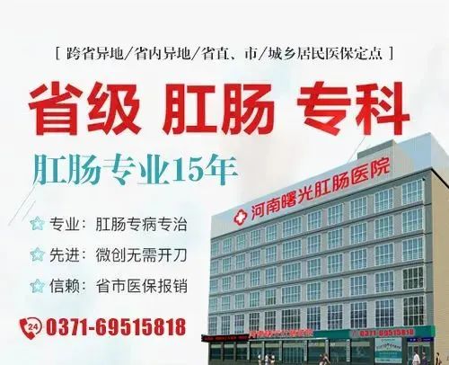全国肠肛科医院排名，专业与信誉的双重考量