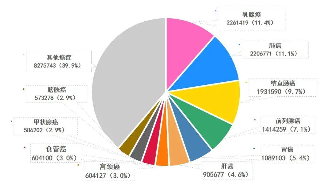 全国肺癌医院排行，权威解读与患者指南