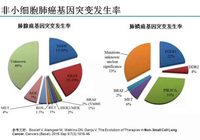 揭秘全国肺癌治疗领域，前二十名权威医院深度剖析