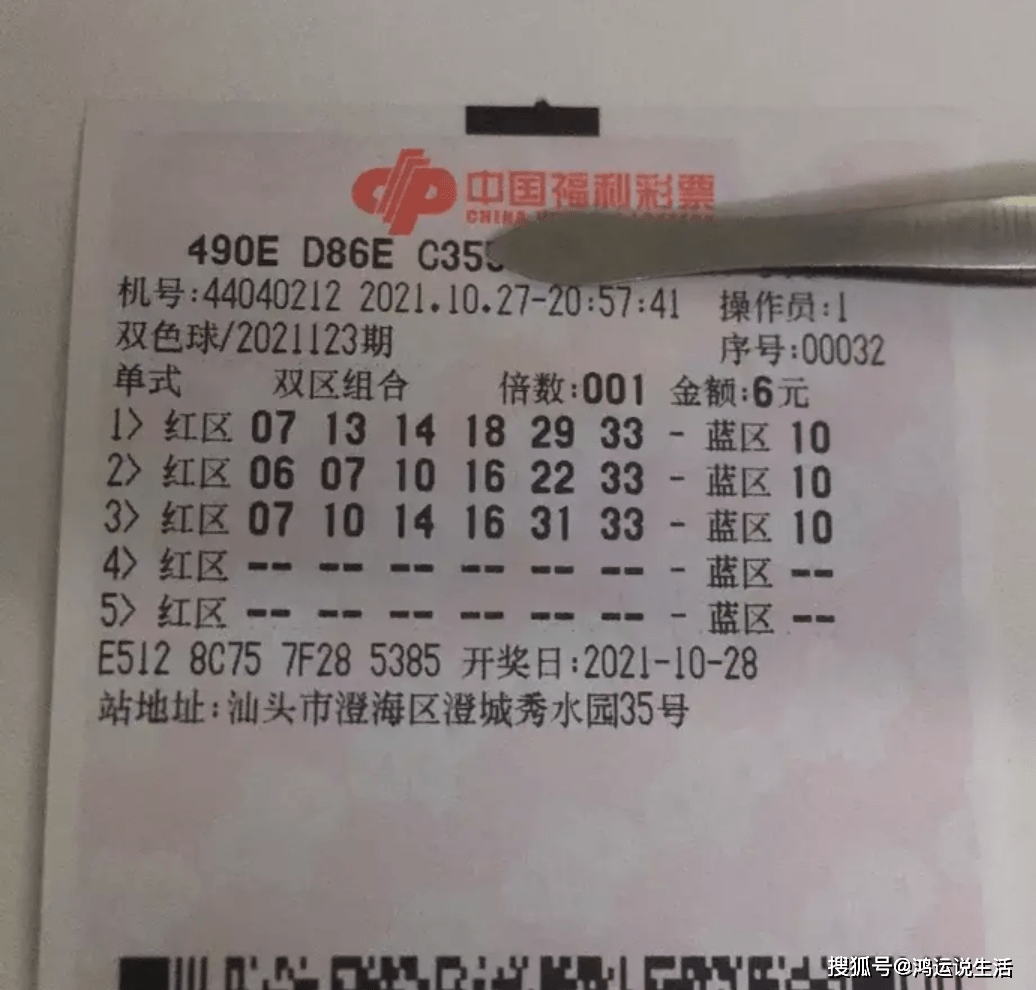 澳门六星彩，每日开奖结果查询与彩民心声