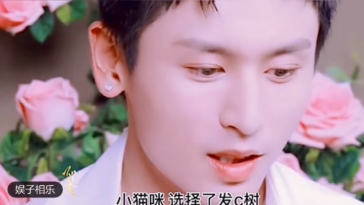 澳门六星彩综合资料汇总分析，揭秘数字背后的奥秘