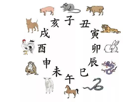 探秘新澳门六采资料，十二生肖的寓意与文化解读